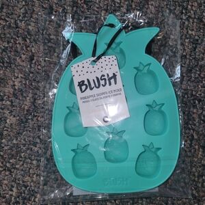 🏖$5 Pineapple Ice Cube Tray Blush